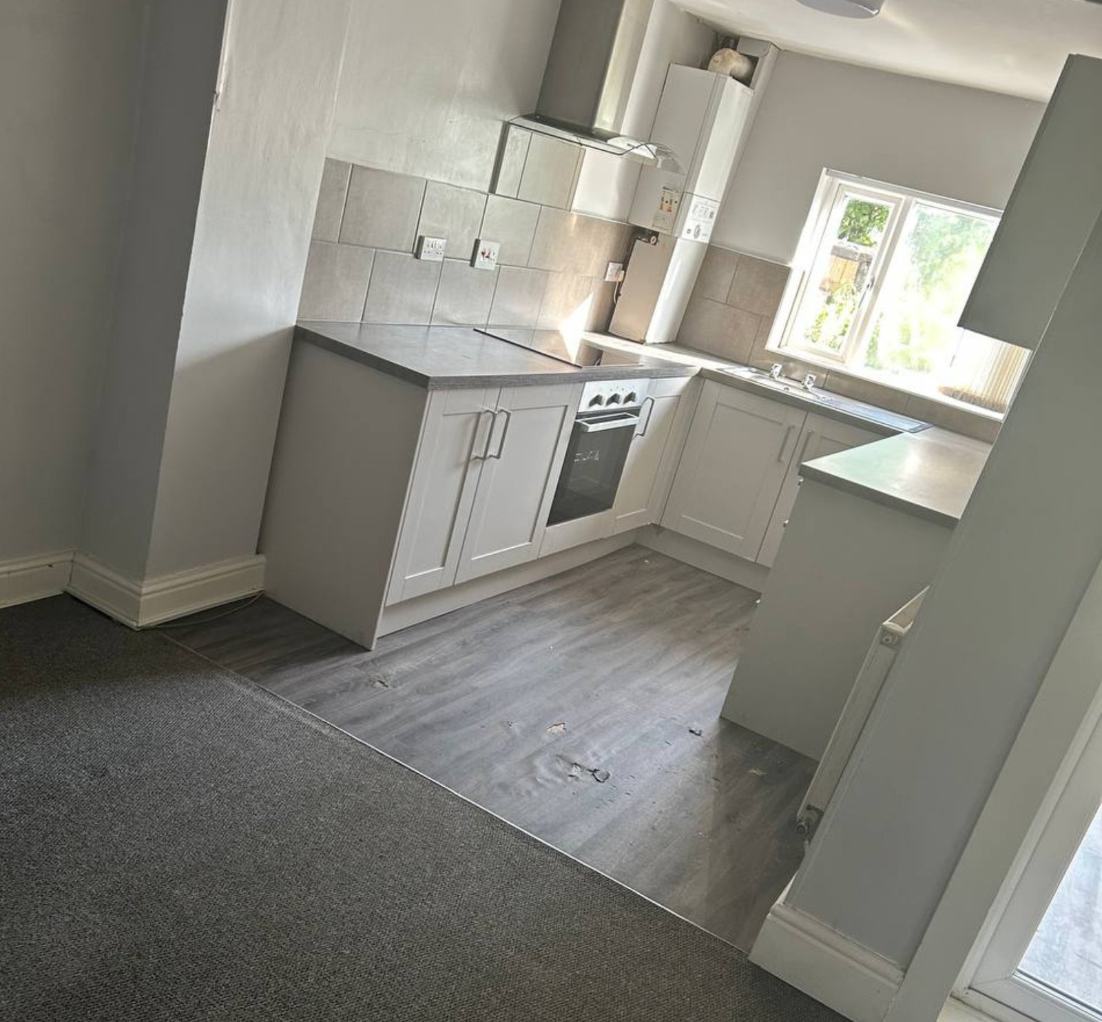 Professional pest treatment in progress